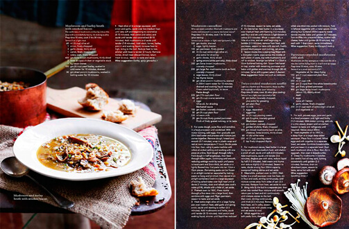 Earthly delights Rezept Feature pikant Suppe Pilze dunkler Hintergrund Essen Trinken